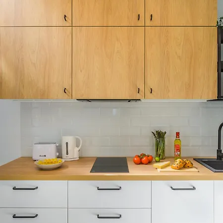 P&o Olbrachta Apartment